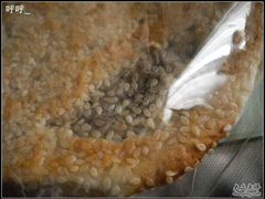 DSCN0861-静安面包房(天山店)