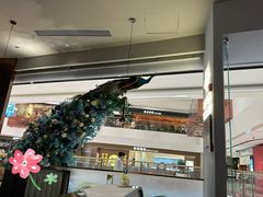 -雀蓝川菜(滨湖万象汇店)