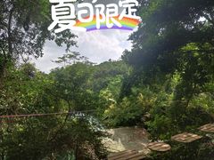 -海南槟榔谷黎苗文化旅游区