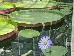 -国家植物园南园