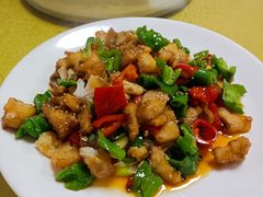 -煲来饱去冷水鱼