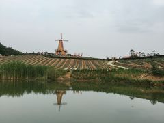 -大塘金香草谷