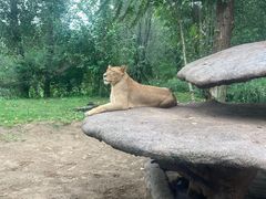 -北京野生动物园