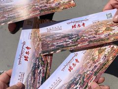 -塔尔寺-菩提树