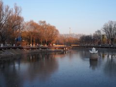 -长春世界雕塑园冰雪艺术天地