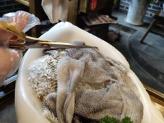 雪山毛肚-大龙燚火锅(春熙店)