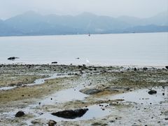 -深圳湾公园(南山区)