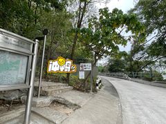 -狮子山郊野公园