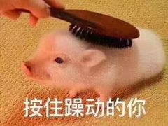 -RGF(巨鹿路店)