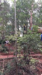 -成都飞越丛林(锦绣城园区)