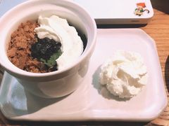 -No Cat 手碟