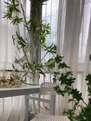 -童影世家儿童摄影(梨园店)