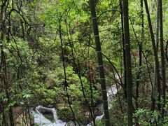 -江西阳明山国家森林公园