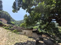 -杨家堂村