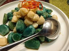 -中苑海韵