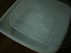 -包道广式点心专门店(东山口店)