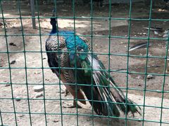 -哈密回王府景区