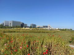 -春花秋色城市公园