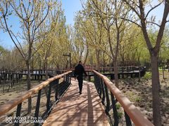 -东郊湿地公园