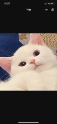 -SalonRivelin 沙龙瑞菱
