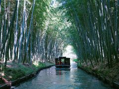 -同里国家湿地公园