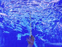 -成都浩海立方海洋公园