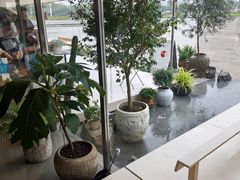 -喜茶(珠海华发商都店)