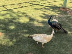 -鄱阳湖国家湿地公园