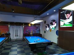 -丁俊晖台球俱乐部(海上海·弘基休闲广场店)
