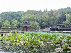 -忠山公园