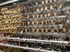 -宜家家居(哈尔滨商场店)