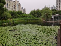 -苏州河梦清园环保主题公园