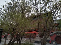 -天津市峰山药王古寺
