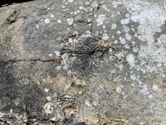 -蝶舞清江·恩施云顶景区(黄鹤峰林)