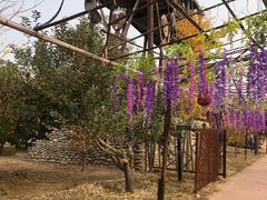 -呀路古热带植物园