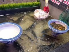 -山河屯铁锅炖(哈西站店)