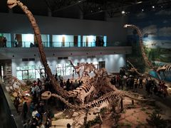 -自贡恐龙博物馆