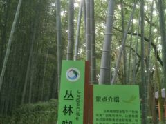 -同里国家湿地公园