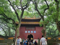 -普陀山风景名胜区-法雨禅寺
