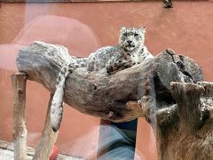 -青藏高原野生动物园