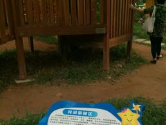 -天河儿童公园