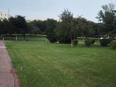 -北京国家会计学院