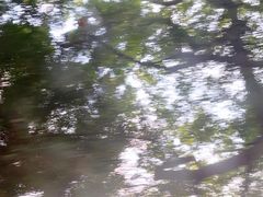 -滴水岩森林公园