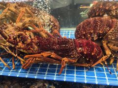 -东海怡品海鲜豆捞(舟宿夜江店)