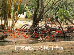 -广州长隆野生动物世界