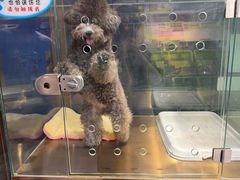 -FAELING PETS美天灵宠物(富力广场店)