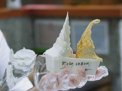 -野人先生Gelato(上海长宁龙之梦店)
