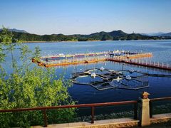 -千岛湖希尔顿休闲艇俱乐部