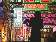 -武汉知音号