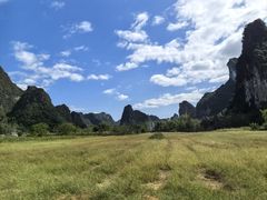 -明仕田园